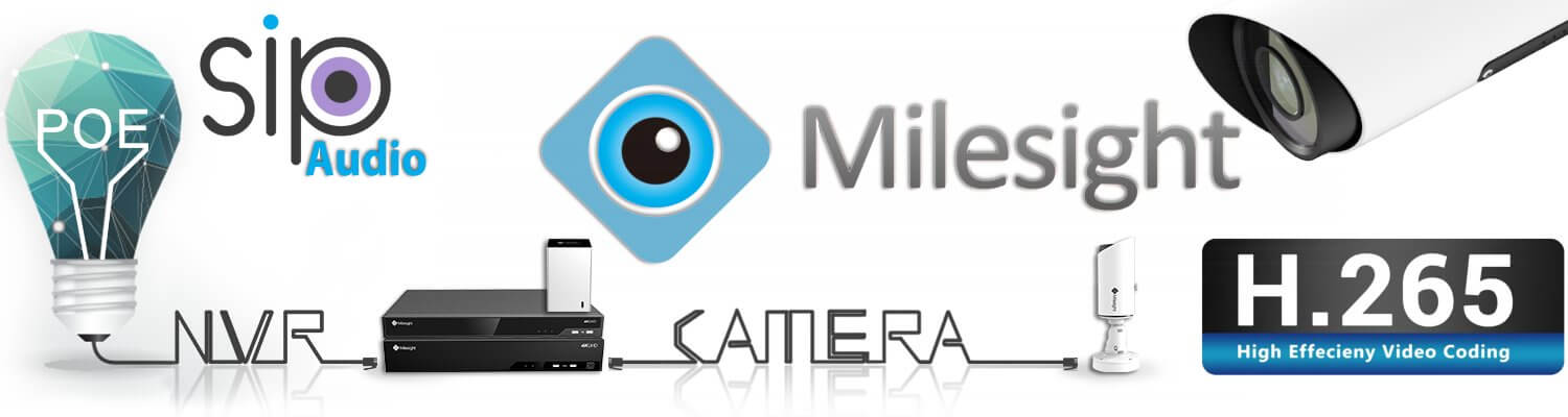 Milesight CCTV Tanzania