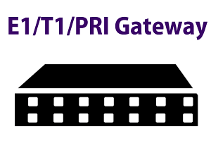 pri-gateway-dar-es-salaam-tanzania